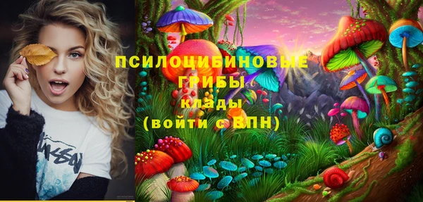 герыч Каменногорск